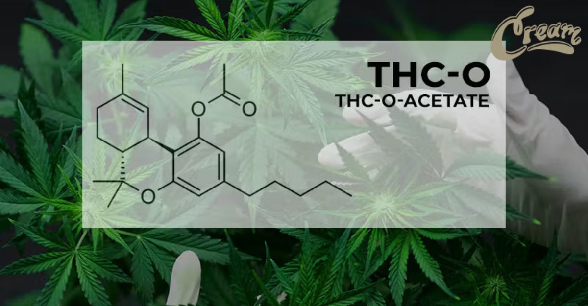 The Risks Involved With Using THC-O